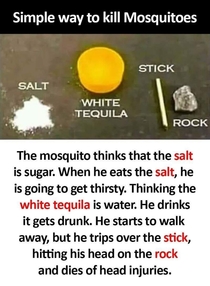 How to kill mosquitos