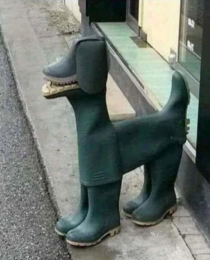 How to make a dog from some shoes 