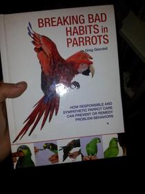 How To Stop Your Parrot Cooking Meth