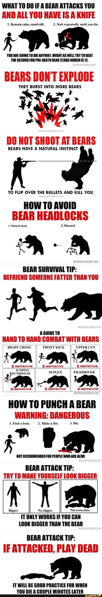 How to survive a bear attack