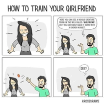 How To Train Your Girlfriend