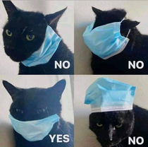 How to wear a mask cat style