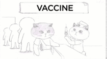 How vaccine works