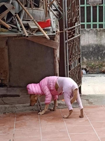 How Vietnamese doggo deals with cold winter