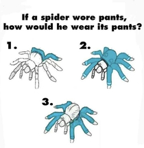 How would a spider wear pants