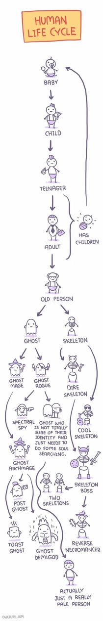 Human life cycle
