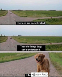 Humans are complicated