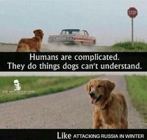 humans can be tricky