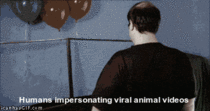 Humans impersonating viral animals videos