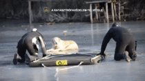 Hungarian fireman use inflatable raft to rescue dog from frozen lake