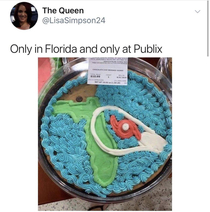 Hurricane Dorian cake Brutal even for you Florida