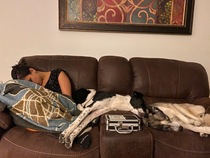 Husband caught all his girls passed out like wierdos the other night