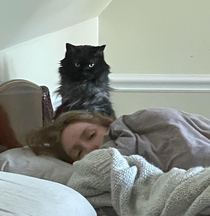 Husband caught our cat hovering over my sleeping bodyplease excuse my face I didnt know what was happening
