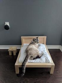 Husband said he was going to make a bed frame I thought it was for our new mattress It was for the cat