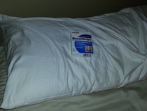 Husband told me he left a present on my pillow I thought maybe chocolates or flower petals