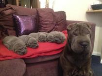 I a big wrinkle made all of these smaller wrinkles