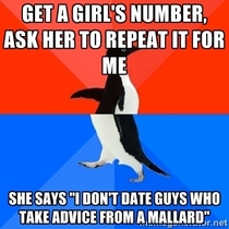 I actually did get that one from advice mallard