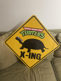 I added a couple things to my turtle crossing sign
