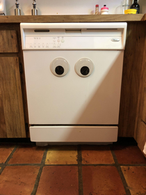 I added googly eyes to our dishwasher Hes not sure about them  