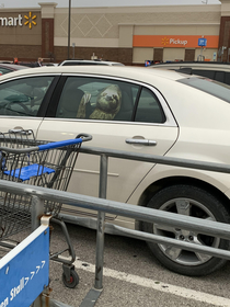 I almost had a heart attack while putting my cart away