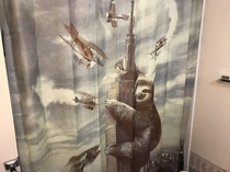 I also got a new shower curtain