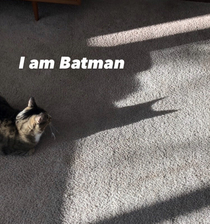 I am Batman