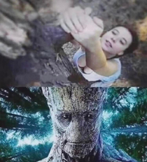 I am Groot 