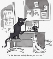 I am not a cat - I updated a classic NYT cartoon by Peter Steiner