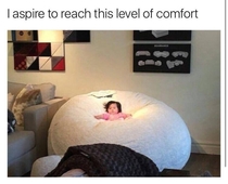 I aspire to be this level of comfort