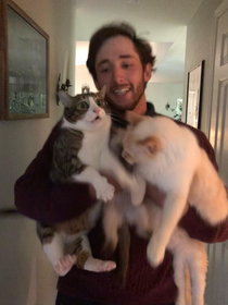 I attempted to take a pic with all  of my cats