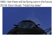 I bet there will be flying cars in the future