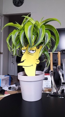 I bought a new plant because it reminded me of someone