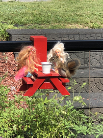 I bought a picnic table for my neighbourhood squirrel