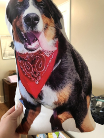 I bought a pillow for my sister of her dog Didnt realize the picture I chose had a huge dog dick in it