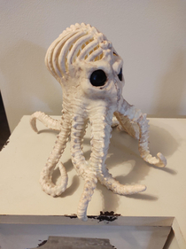 I bought an octopus skeleton for Halloween