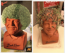 I bought this Bob Ross chia pet    These are not happy trees