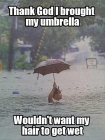 I Brought My Umbrella