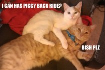 I can has piggyback ride