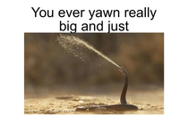 I cant be the only one