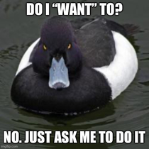 I Cant Stand When the Boss Asks if I want to Complete a Task