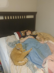 I caught my cat sleeping with a friend in my bed