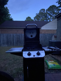 I caught my chicken on fire Apparently my grill is appalled