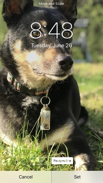 I changed my wallpaper at the perfect time