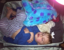 I could hear him snoring but I couldnt find him his brother casually responds oh hes sleeping in the suitcase again