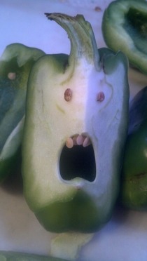 I cut into my bell pepper and it looked absolutely terrified