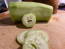 I cut up a cucumber and let me tell you I felt pretty bad about it