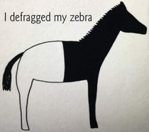 I defragged my zebra