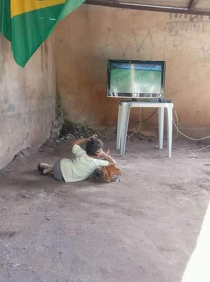 I do not want to know anything about the match or this place I just want to know how he managed to make the chicken a pillow and persuade her to watch with him