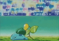 I dont get why Bellsprout isnt in Smash Bros