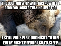 I dont know if I should have used depression bear or confession bear but this one seemed more fitting since Im more sad than ashamed
